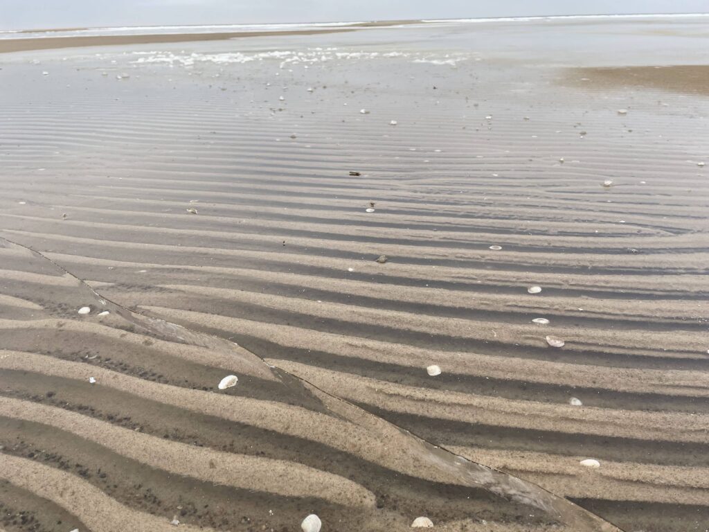 Peaaegu inimtühi rand on kohe sealsamas